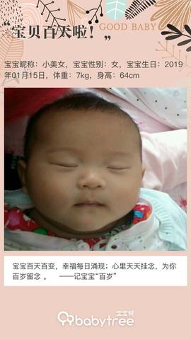 journal_insert_pic_1225730064
