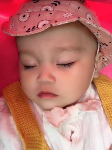 journal_insert_pic_1225785438
