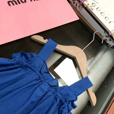 journal_insert_pic_1225845035