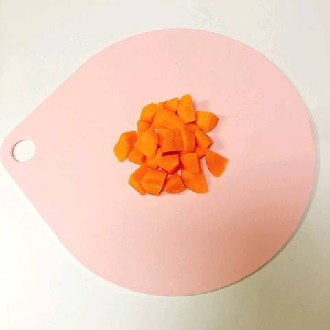 journal_insert_pic_1225638013
