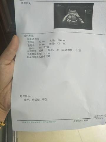 journal_insert_pic_1226309512