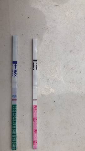 journal_insert_pic_1226549015
