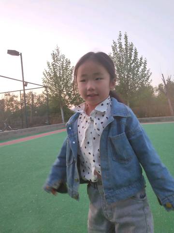 journal_insert_pic_1227098576