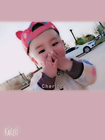 journal_insert_pic_1227422356