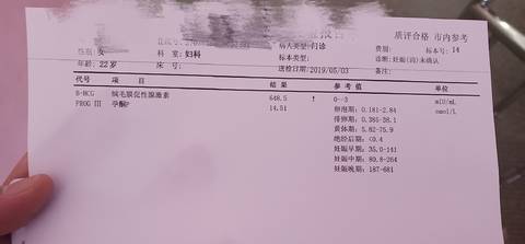 journal_insert_pic_1228824793