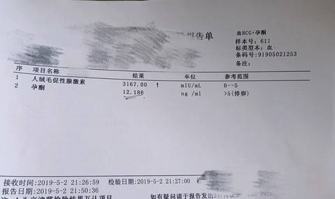 journal_insert_pic_1229703746