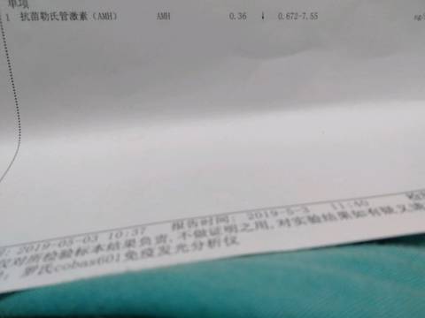 journal_insert_pic_1230039776