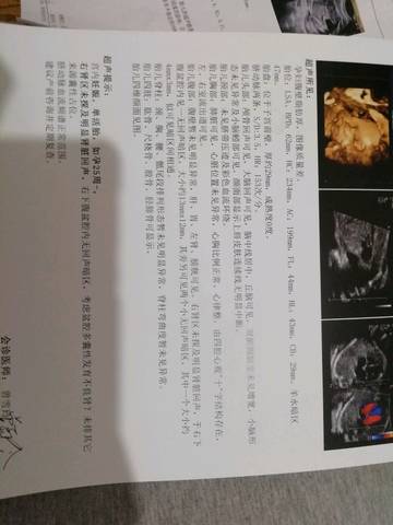journal_insert_pic_1229668564