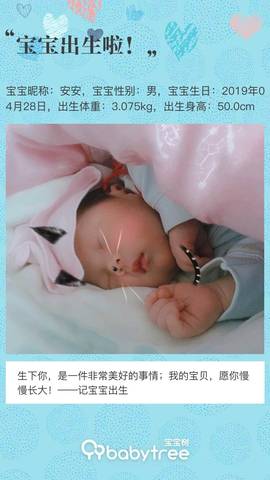 journal_insert_pic_1229507490