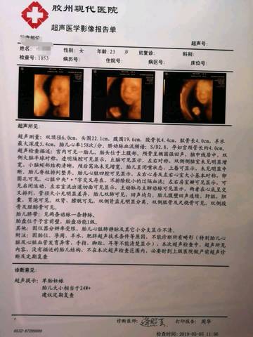 journal_insert_pic_1229893274