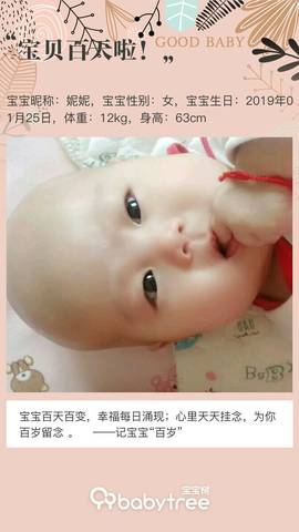 journal_insert_pic_1230053326