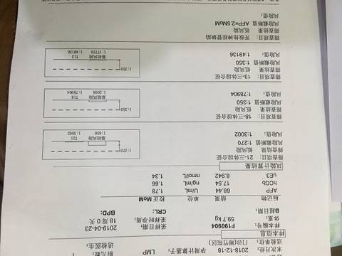 journal_insert_pic_1230456272