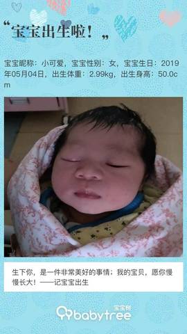 journal_insert_pic_1230630384