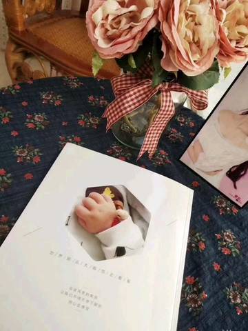 journal_insert_pic_1231183075