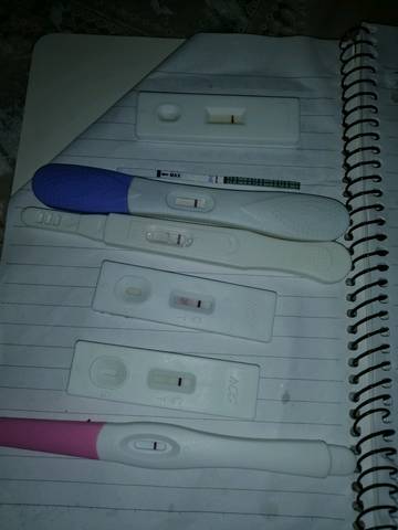 journal_insert_pic_1231318793