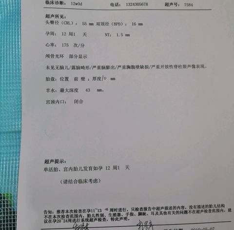 journal_insert_pic_1231105212