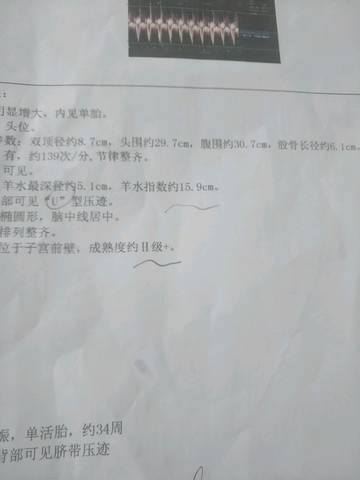journal_insert_pic_1231294555