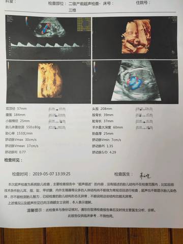 journal_insert_pic_1231179614