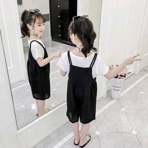 journal_insert_pic_1231086562