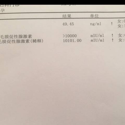 journal_insert_pic_1231853144