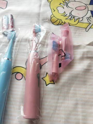 journal_insert_pic_1231663033