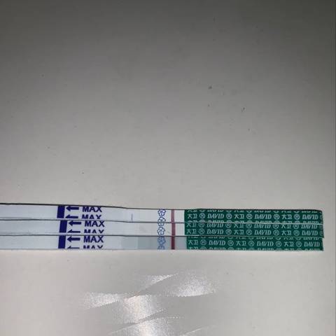 journal_insert_pic_1231609308