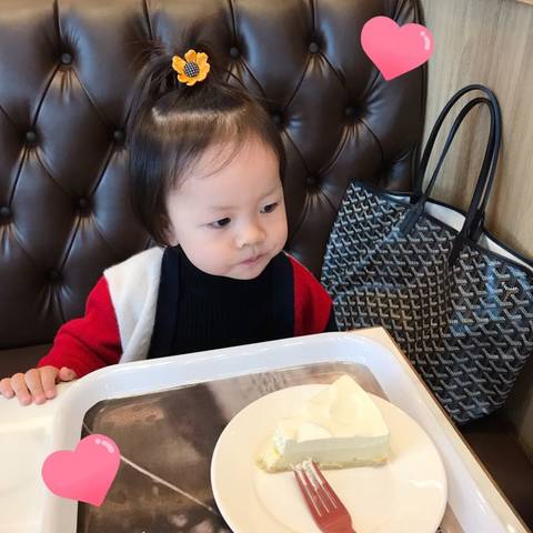 journal_insert_pic_1232553331