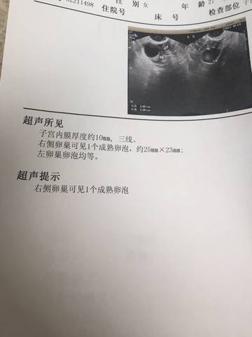 journal_insert_pic_1232360659