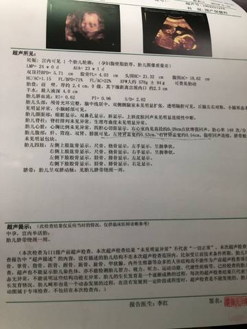 journal_insert_pic_1233254921