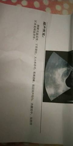 journal_insert_pic_1233955390