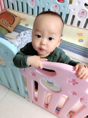 journal_insert_pic_1234156086