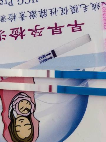 journal_insert_pic_1235344525