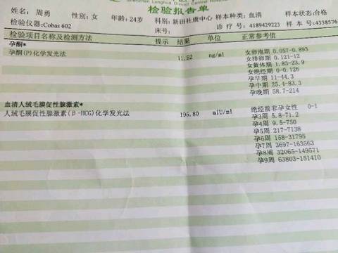 journal_insert_pic_1236379343