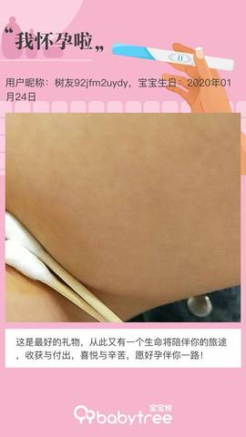 journal_insert_pic_1236590520