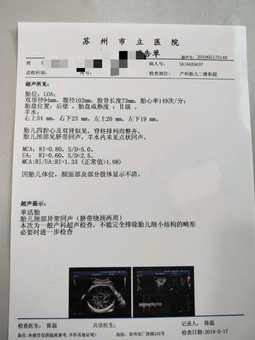 journal_insert_pic_1237240905