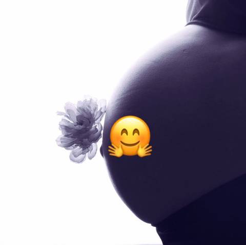 journal_insert_pic_1237474661