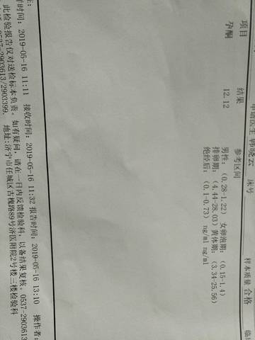 journal_insert_pic_1237237153