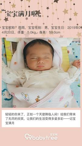journal_insert_pic_1239009561