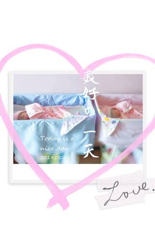 journal_insert_pic_1239202320