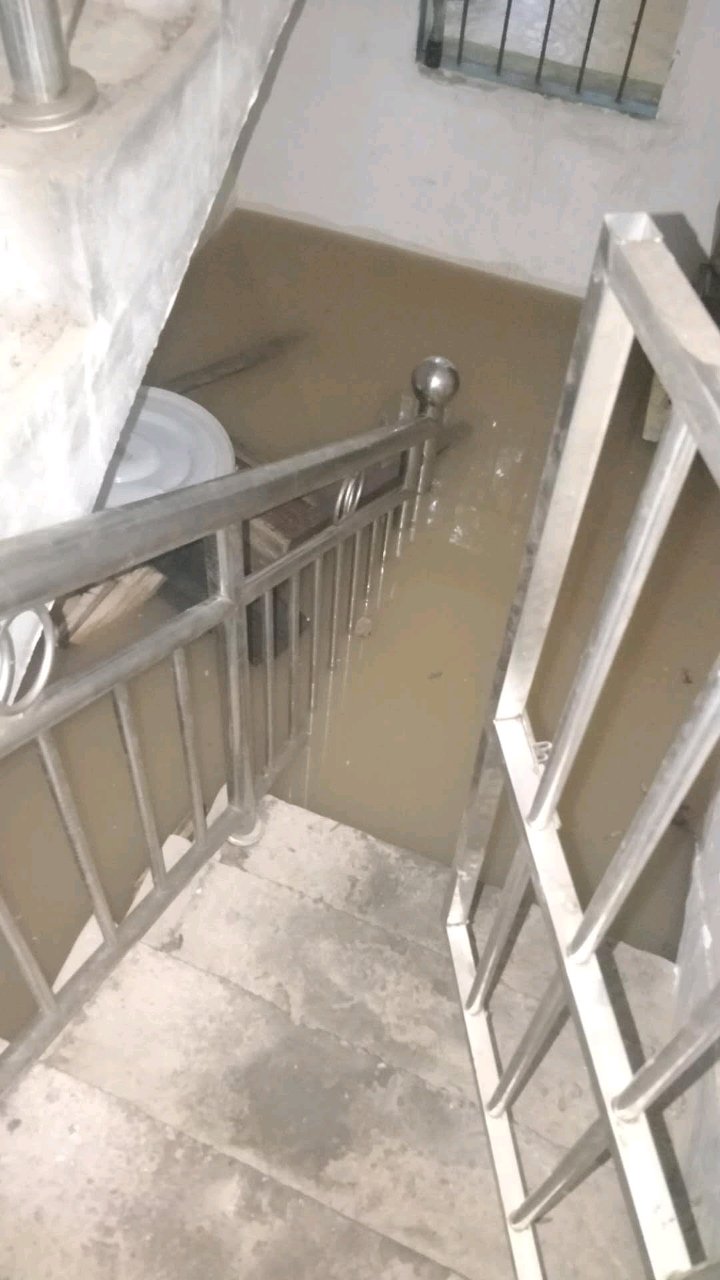 家里涨大水了，房子都淹到二楼了。有同省的跟我一起回去抗灾吧