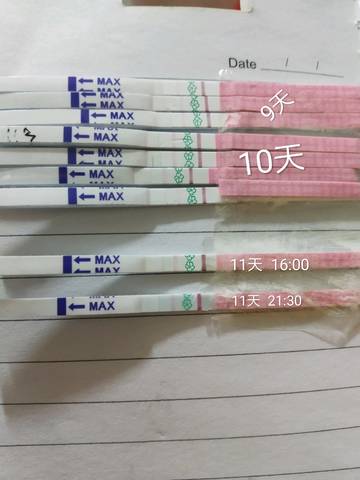 journal_insert_pic_1272521135