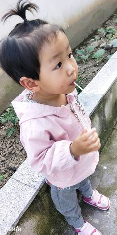 journal_insert_pic_1288963466