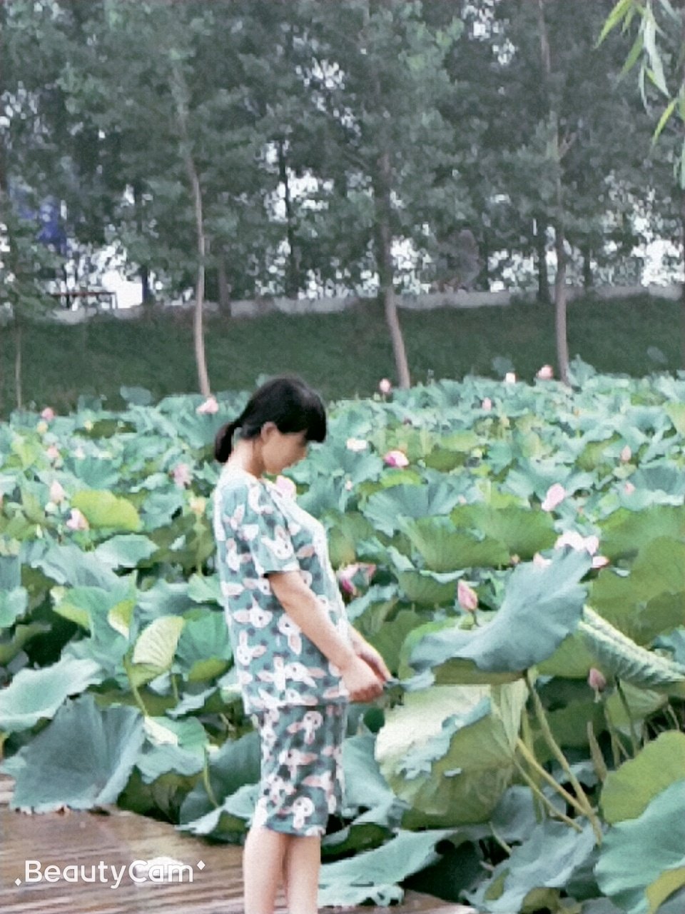 宝宝你好