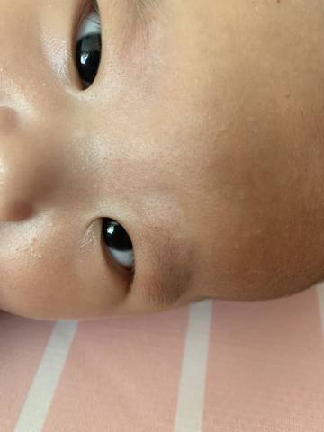 journal_insert_pic_1291707232