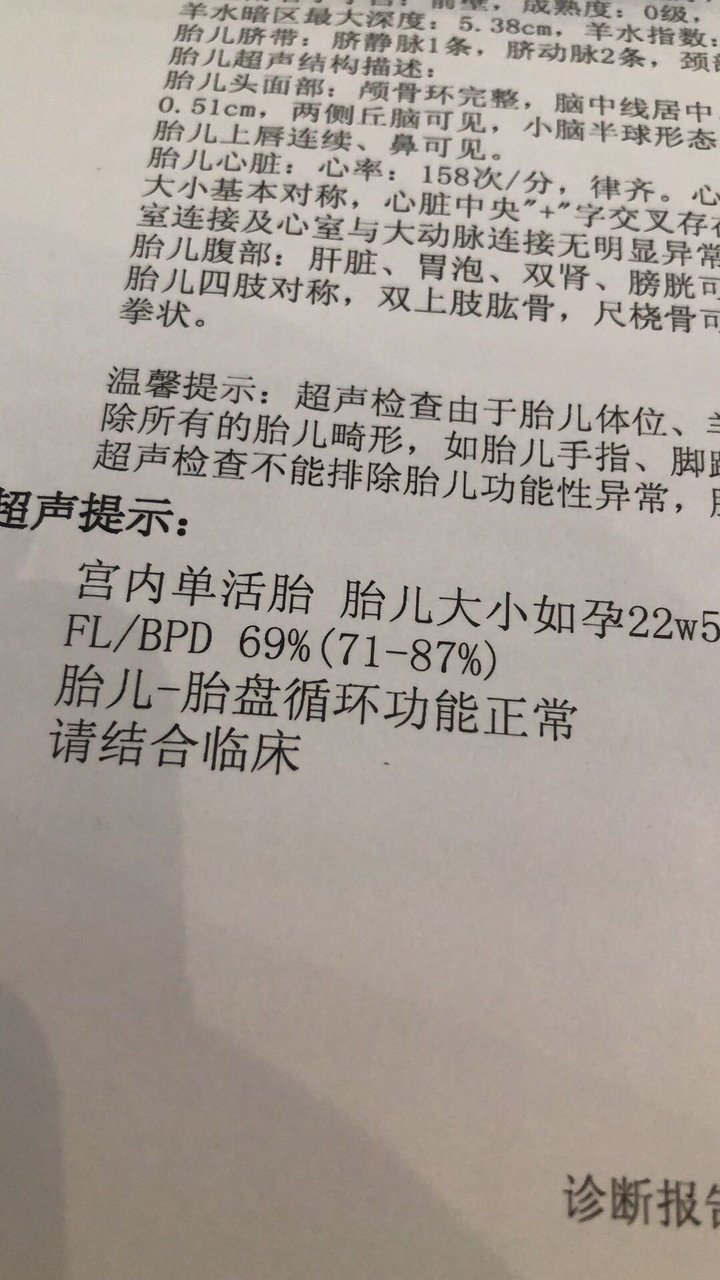 四维彩超报告单