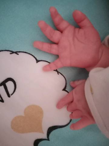 journal_insert_pic_1296796348