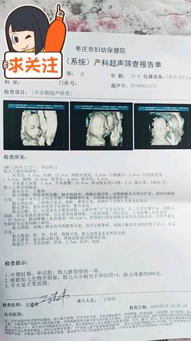 journal_insert_pic_1301540727