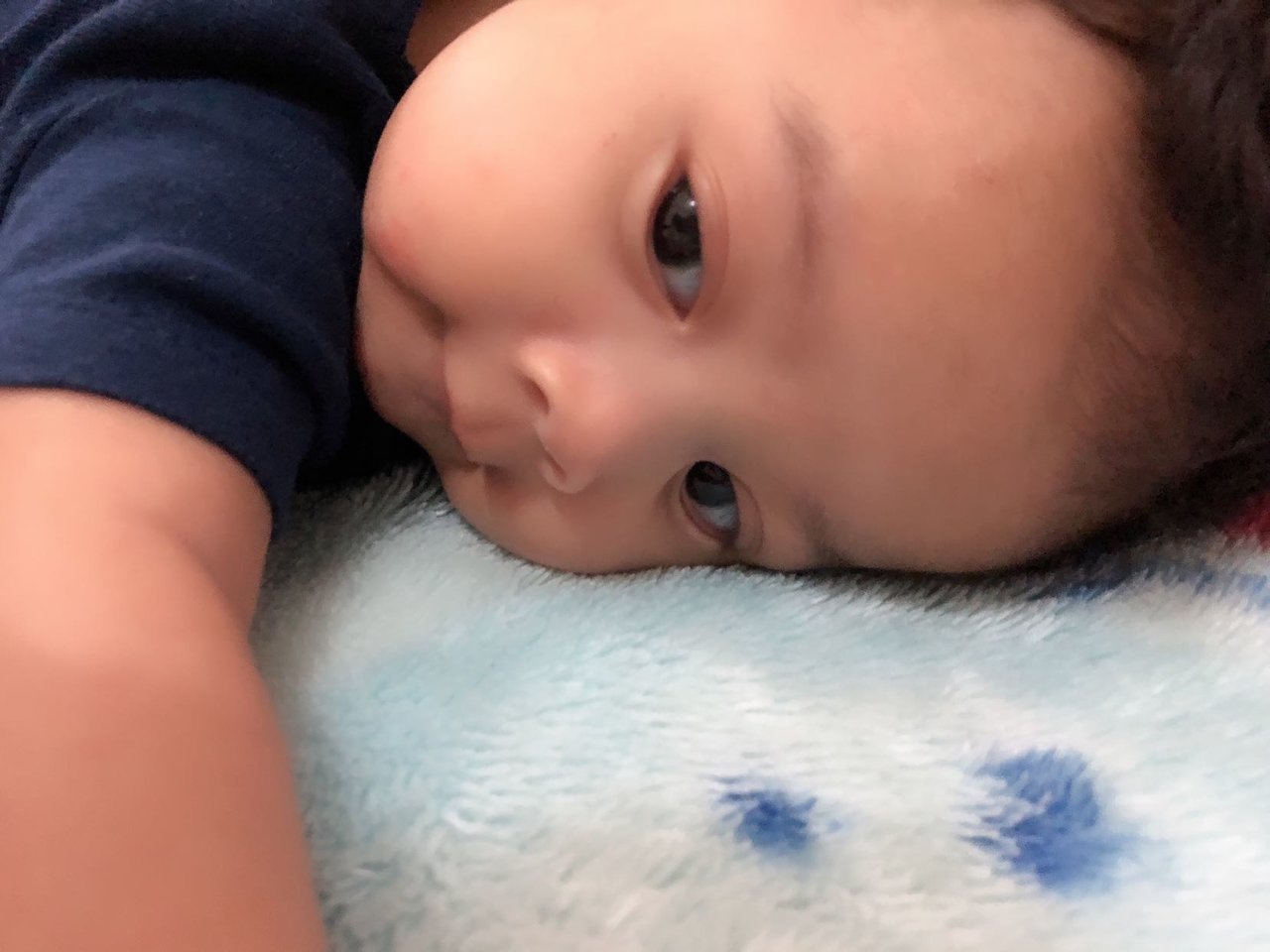 24小时围着我