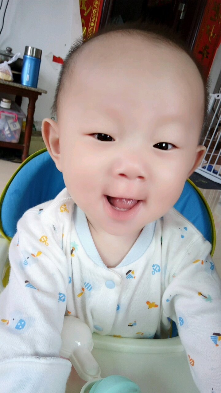 皮皮萌照来咯