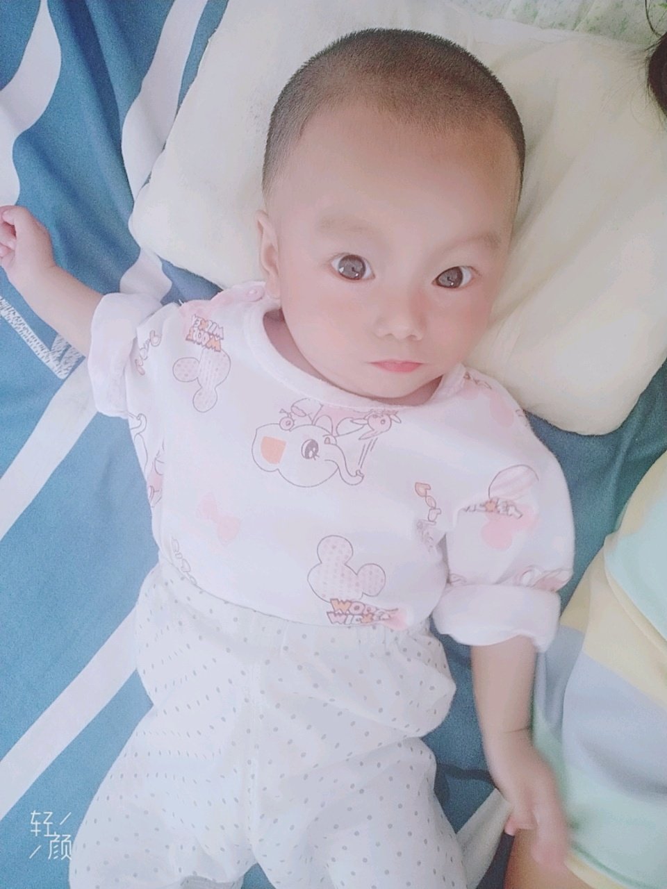 猪宝妈一枚🐷